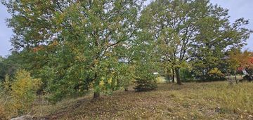 Działka ze stawem !!!! świetna lokalizacja !