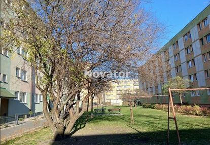 M-3 na 4-piętrze w bloku 34m2 na błoniu.