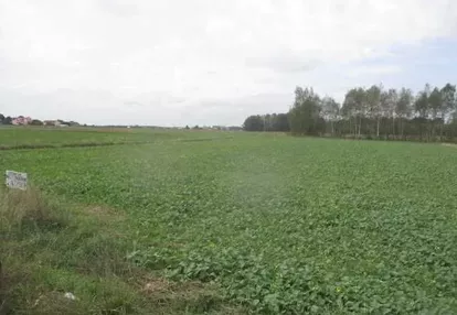 Działka na sprzedaż 3500m2