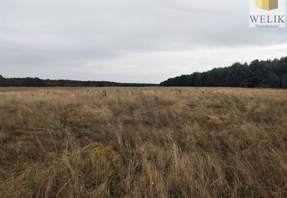 Działka rolna 4,0959 ha musiejówka gmina rossosz