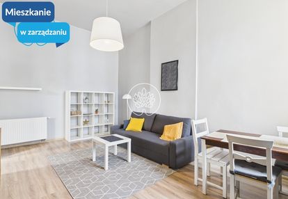 Kawalerka w kamienicy,  "dzielnica muzyczna"