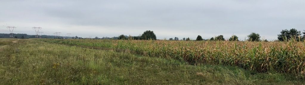 Działka budowlana  z warunkami zabudowy.