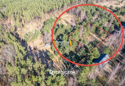 Działka inwestycyjna | sasino | las widok na morze