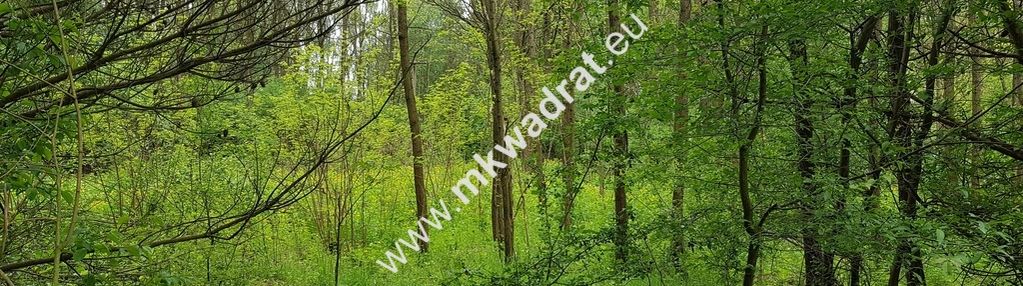 Okazja - niska cena !!!