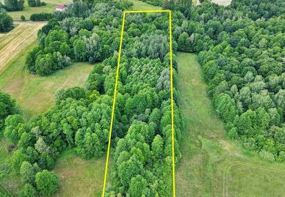 Działka zalesiona- przy drodze asfaltowej