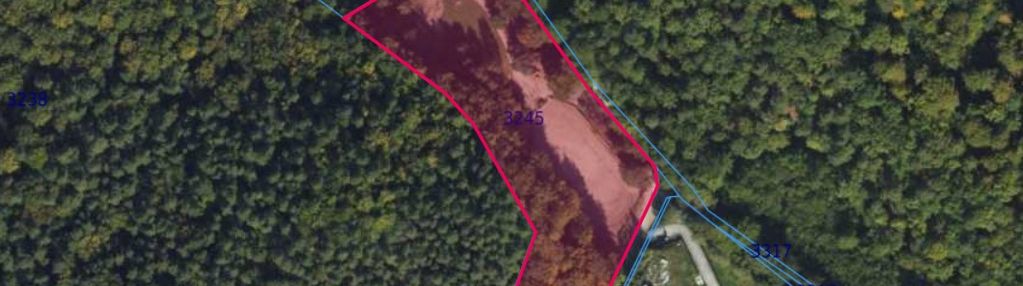 Wyjątkowy teren otoczony lasem polana bernadowo