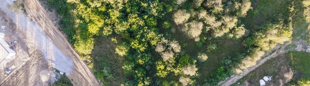 Na sprzedaż duża działka budowlana w świdnicy