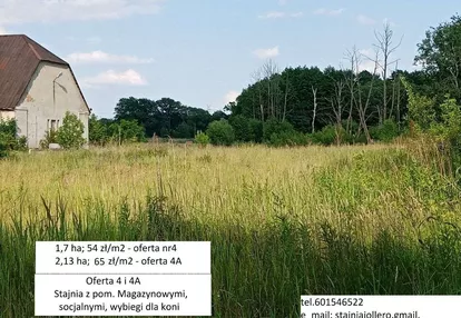 Stajnia JOLLERo DOBRA INWESTYCJA 58 zł/m2 1,7 ha