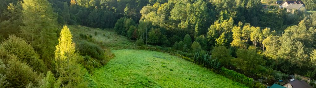 Działka 1,4 ha - włosań gmina mogilany