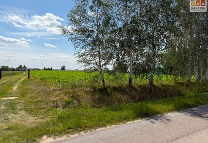 Sieniawa gm. 1,22ha rolna przy drodze asfaltowej