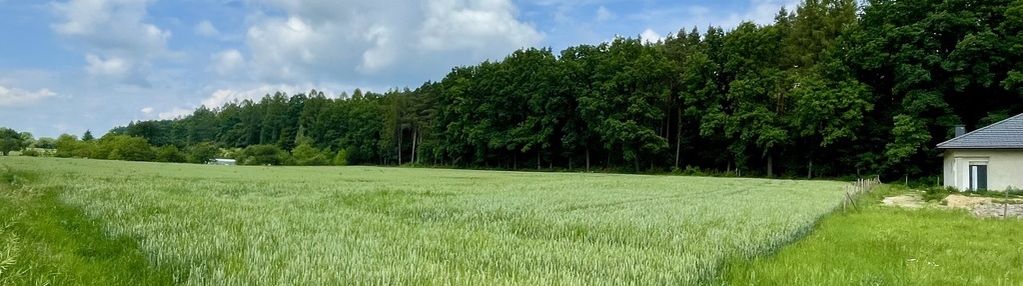 22 arowa działka przy lesie na widnej górze