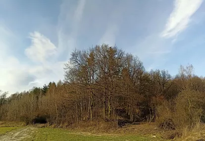 Działka na sprzedaż 244m2