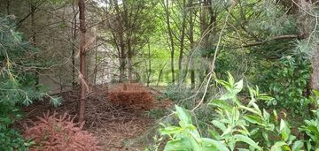 Działka w zacisznym miejscu.