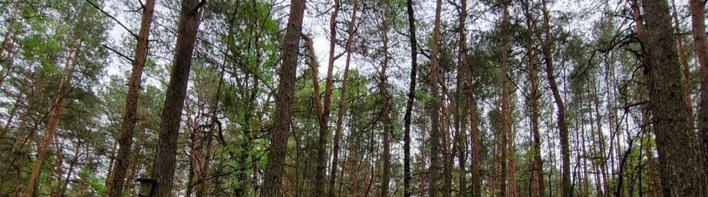 Prywatny azyl blisko warszawy – działka 900m²