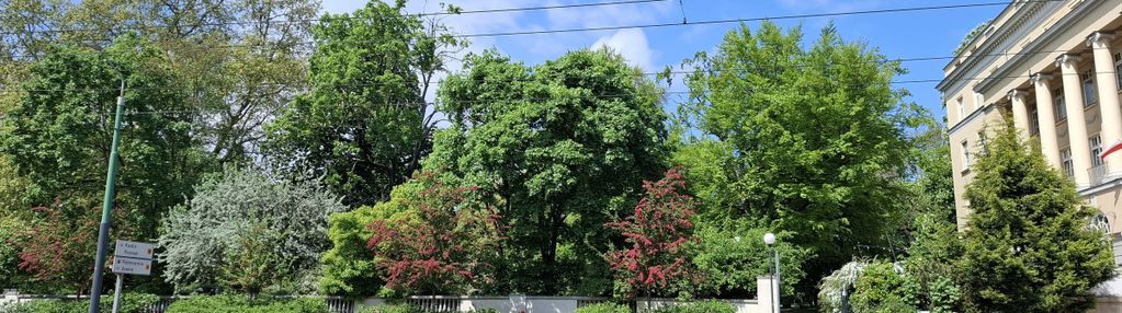 Ciche 31 m² możliwe 2 pok - w cenie! park wilsona