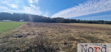 Działka z lasem w augustowie