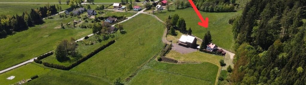 Dom marzeń na skraju lasu
