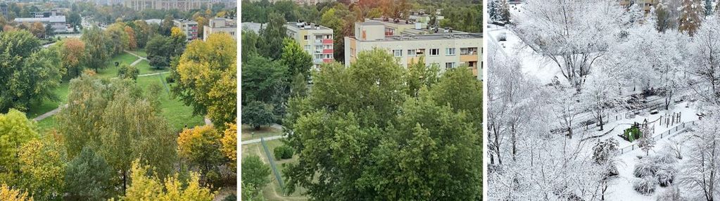 Idealne na start lub jako inwestycja