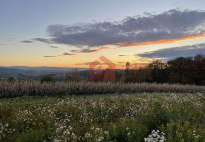 Bez sąsiadów w klimacie bieszczad z lasem i wz!