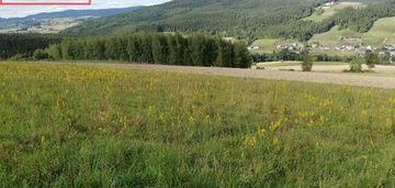 Działka widokowa 74,28ar długołęka-świerkla