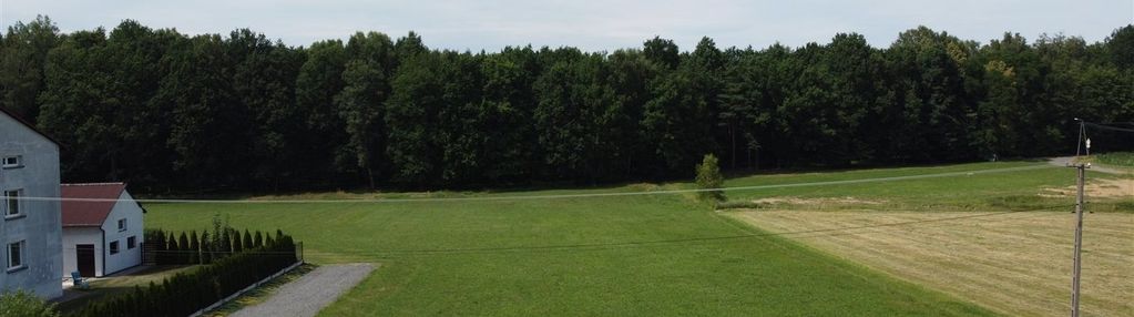 Malowniczo położona działka pod lasem ligota