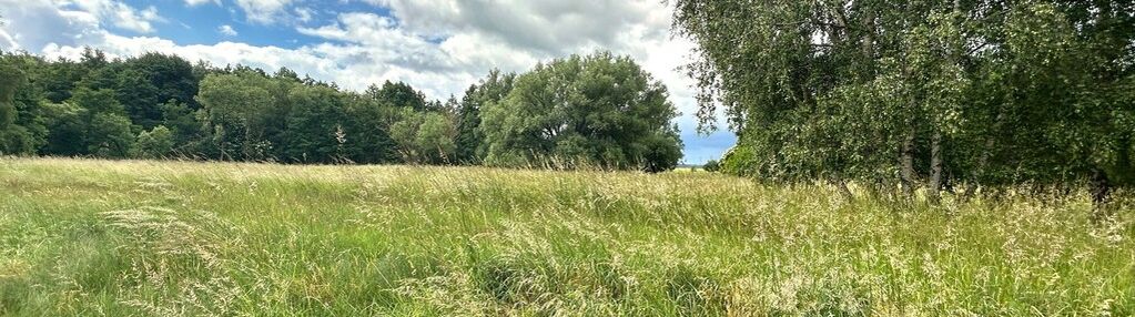 Teren natura 2000. decyzja o warunkach zabudowy