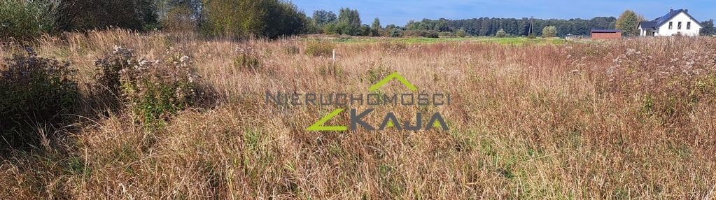 Działka w zatoniu