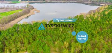 Las z linią brzegową jeziora - piece %nowa cena%