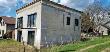 Dom wolnostojący