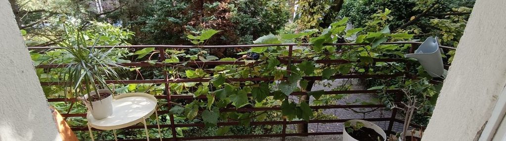 Gdynia śródmieście- duża przestrzeń, blisko morza!