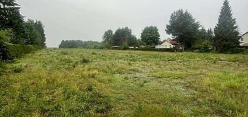 Zalesiona działka 1499 m² w lesie, blisko zalewu.