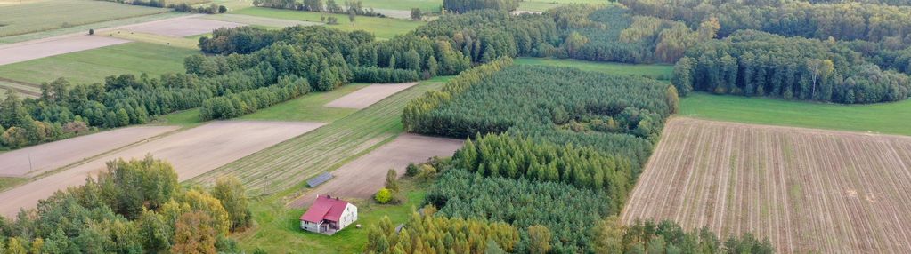 Siedlisko otoczone lasem z dużą działką niedaleko biebrzańskiego pn