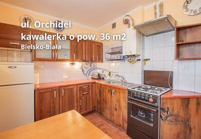 Mieszkanie 1 pokojowe, hałcnów