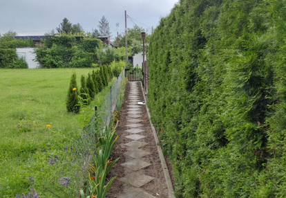 Działka ROD z domkiem – Aleksandrów Kujawski