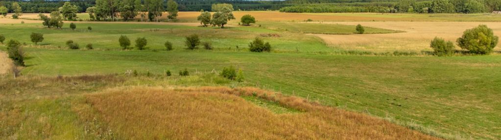 Działka budowlana z pięknymi widokami!