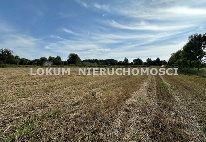 Działka rolna zebrzydowice