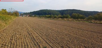 Działka usługowa stary sącz 80ar