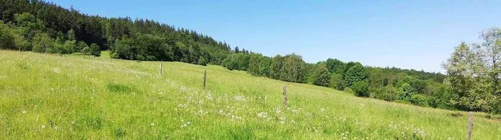 Działka budowlano-rolna w Górach Kaczawskich