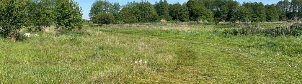 Działka w jagodnicy 2,7 ha