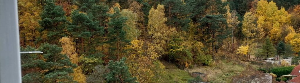 Widok na las, 3-pok. mieszkanie po remoncie