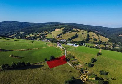 Warunki zabudowy - 5 domów lub hotel z restauracją