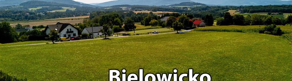 Działka | 1ha budowlany | piękny widok