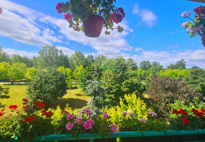 3-pokoje z widokiem na park migdałowy