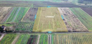 Działka rolna 1,7 ha, czersk, gm. góra kalwaria