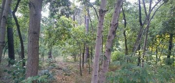 Działka pod zabudowę jednorodzinną