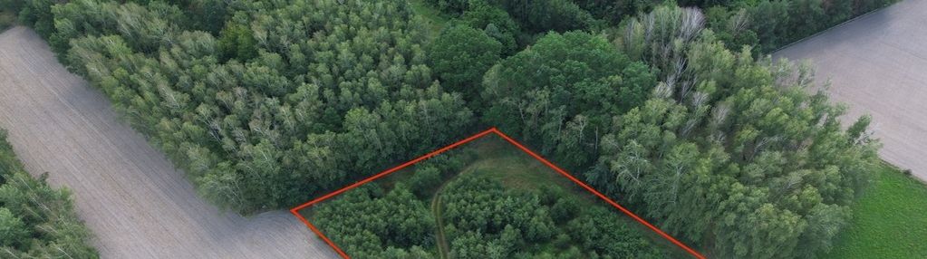 **działka z potencjałem inwestycyjnym – 3769 m²**