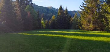 Działki rolne 5374 m² | soblówka