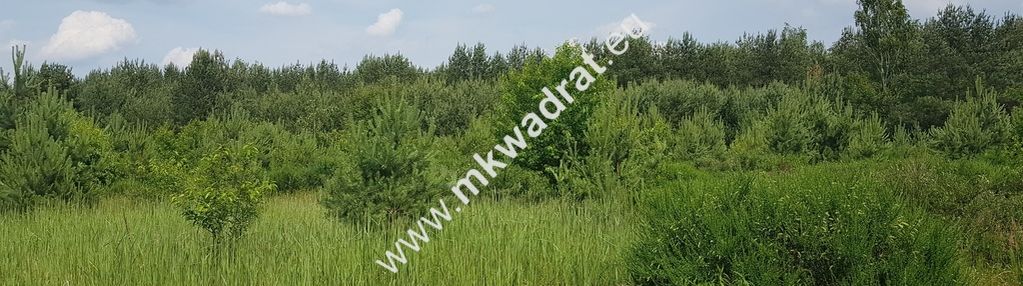 ⭐⭐⭐⭐⭐ działka 4000  m²  - usługowo-budowlana mpzp!