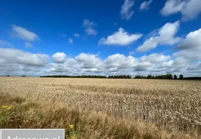 Działka na sprzedaż 1091m2