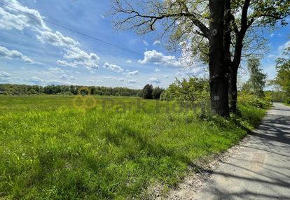 Działka budowlano - inwestycyjna w bądzowie  